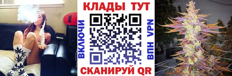 Продажа наркотиков Щучье ГАШ  Псилоцибиновые грибы  Меф  ЭКСТАЗИ  Alpha PVP  Бошки Шишки 