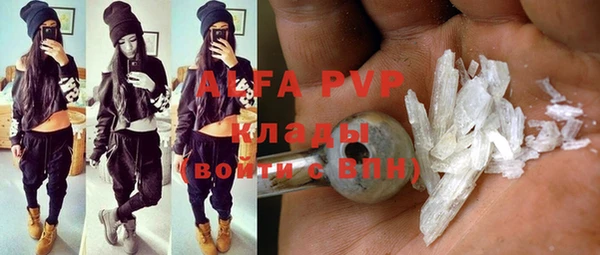 амф Липки