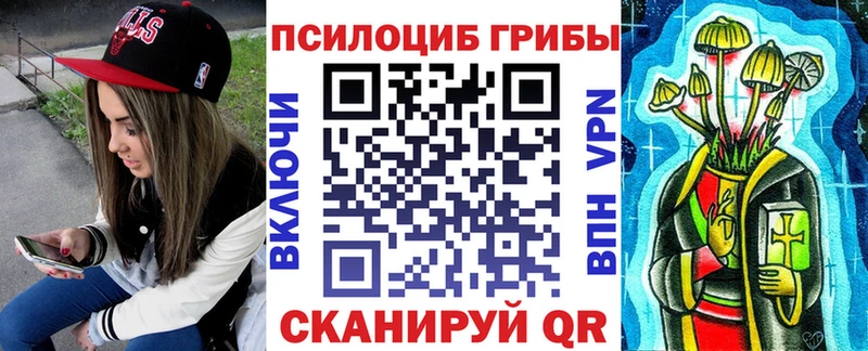 что такое наркотик Щучье Псилоцибиновые грибы мицелий